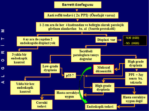barrett11 barrett11