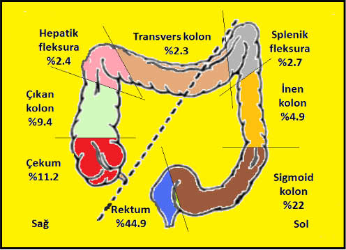 kloncalokalizasyon kloncalokalizasyon