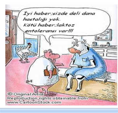 laktoz1 laktoz1