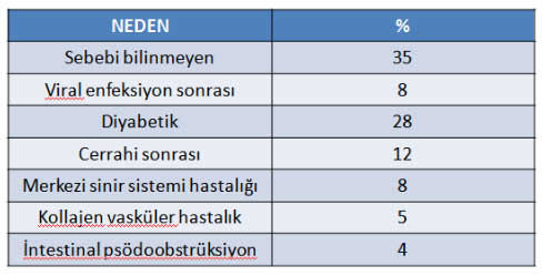Tablo1 Tablo1
