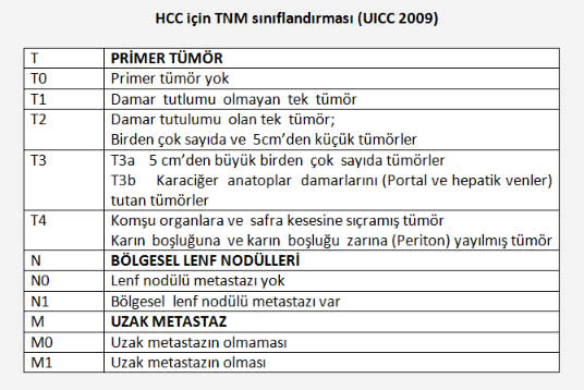 HCCTNM1