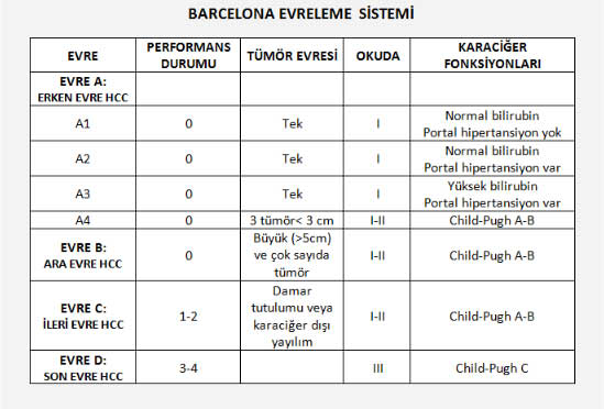 HCCbarcelona