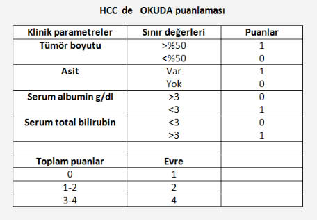 HCCokuda