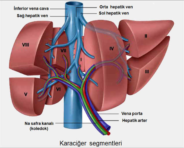 KCsegment
