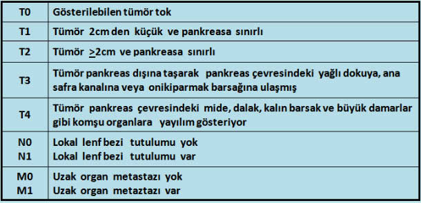 TNM pankreas