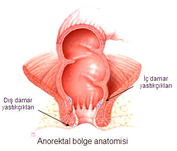 anorektal-bolge